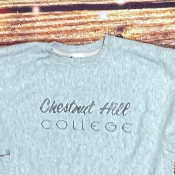 Vintage 80s Chestnut Hill College Champion Reverse Weave 1980s Sweatshirt - Picture 2 of 5
